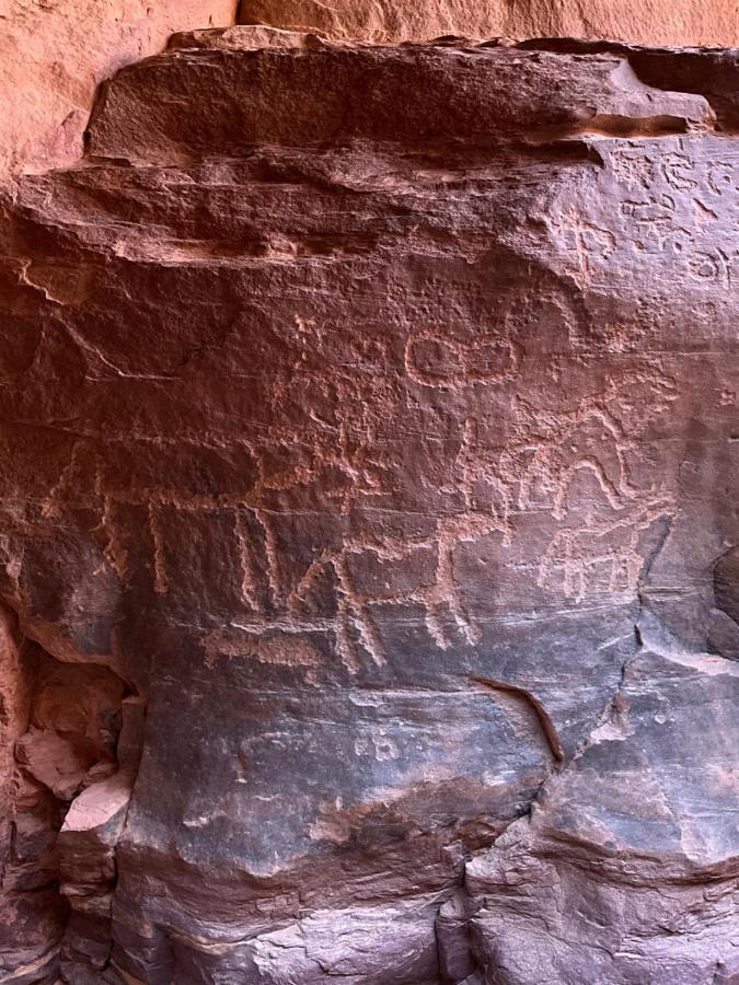 Wadi Rum Bedouin Heart Camp المظهر الخارجي الصورة