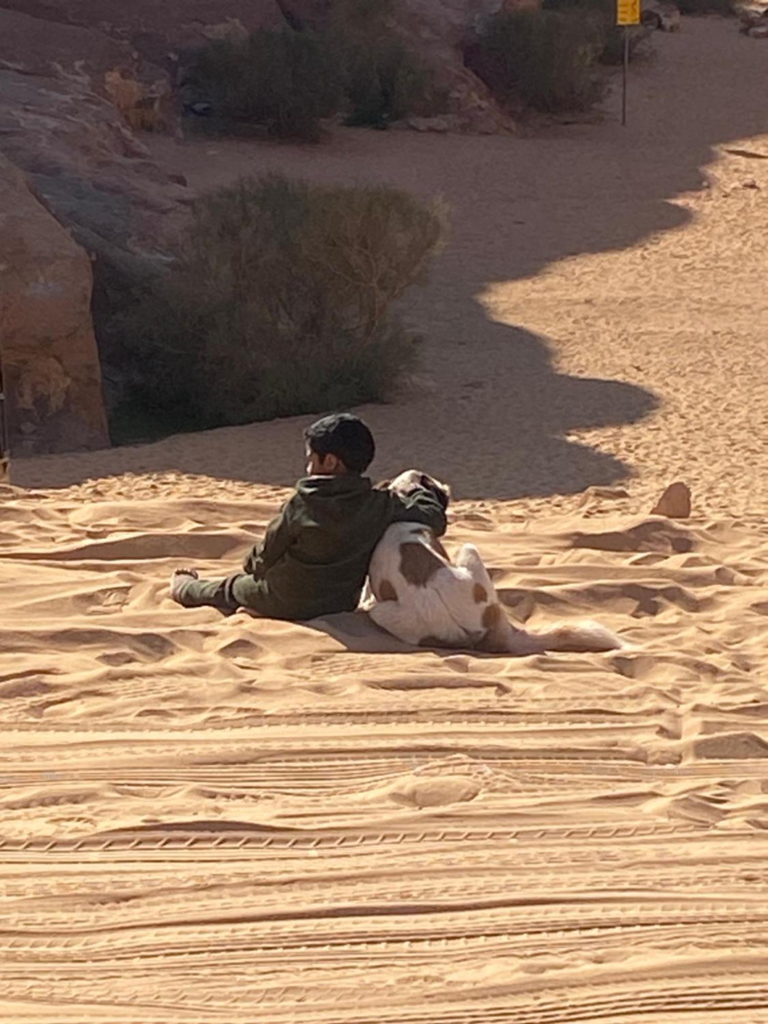 Wadi Rum Bedouin Heart Camp المظهر الخارجي الصورة