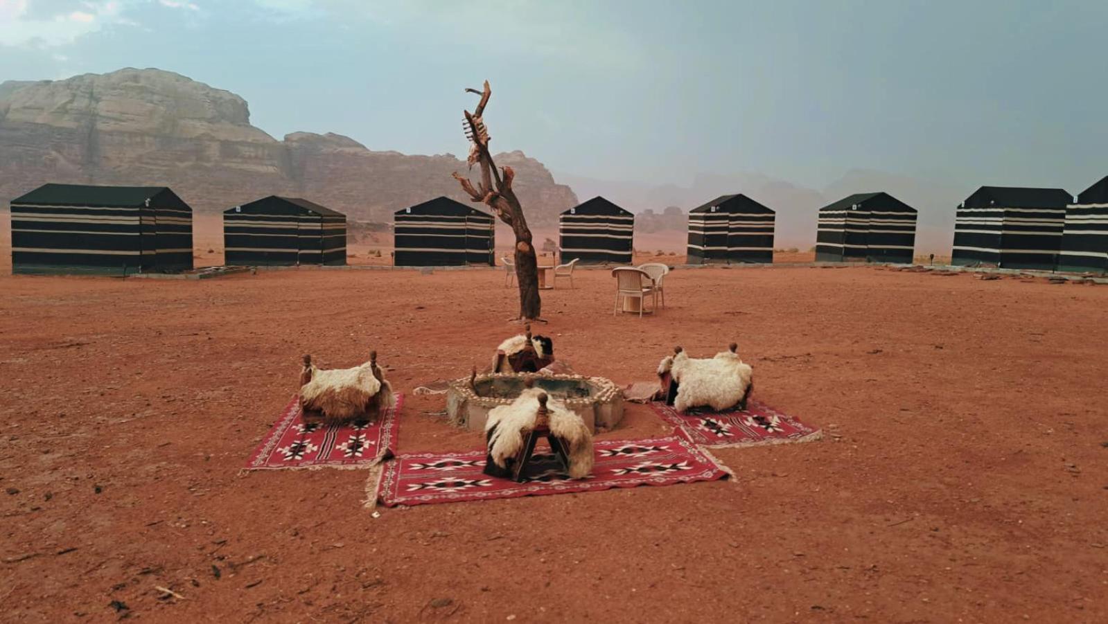 Wadi Rum Bedouin Heart Camp المظهر الخارجي الصورة